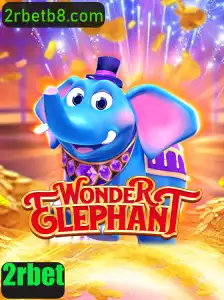 Aventura e Desafios em WonderElephant: Descubra o Novo Jogo Emocionante